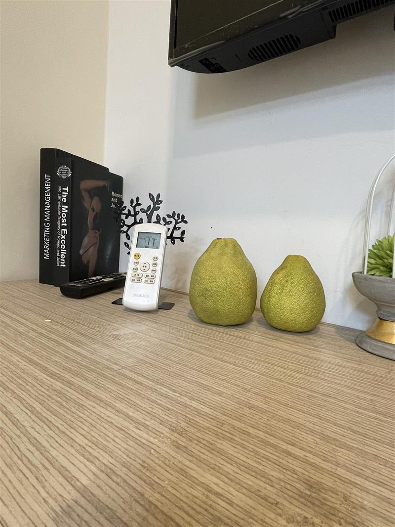 十全一5-2採光寵套近高醫後驛商圈📞愛窩,愛窩 iwow house