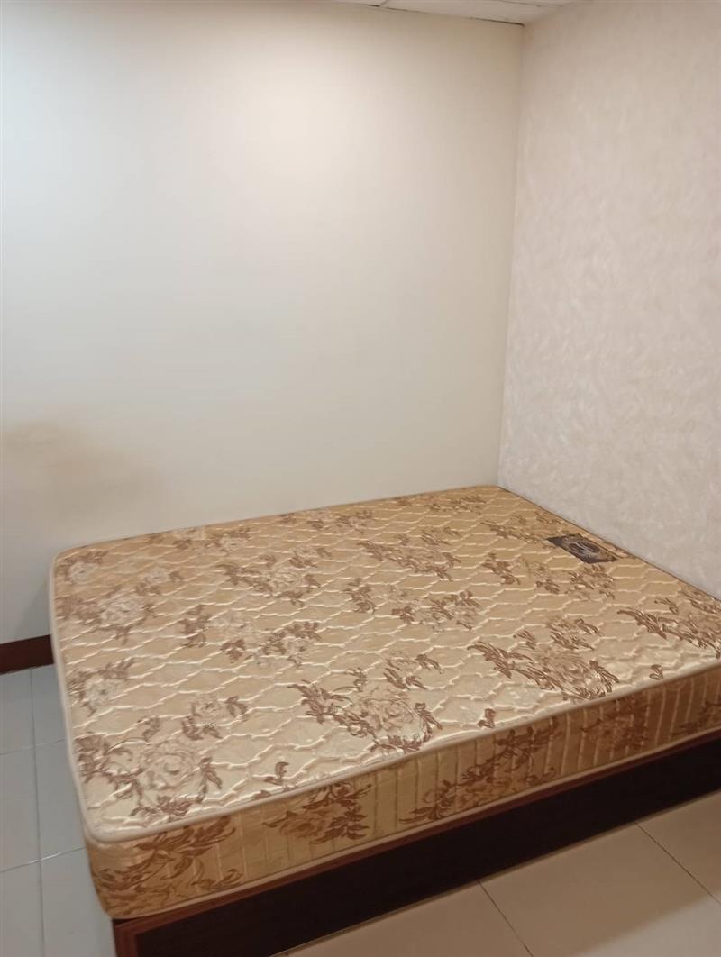 瑞屏7B2貓寵高科楠梓加工區後勁📞愛窩,愛窩 iwow house