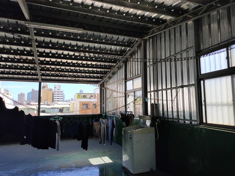 自由4-1女神限定採光貓寵近高醫📞愛窩,愛窩 iwow house