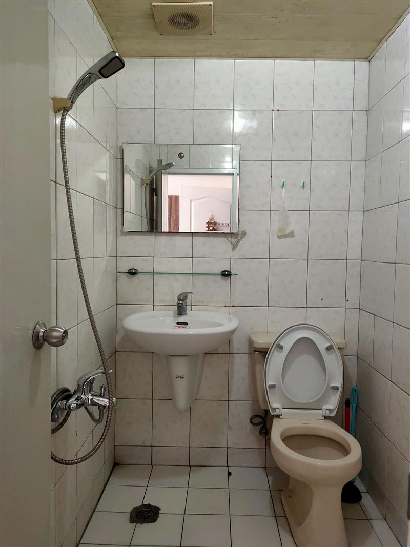 自由4-1女神限定採光貓寵近高醫📞愛窩,愛窩 iwow house