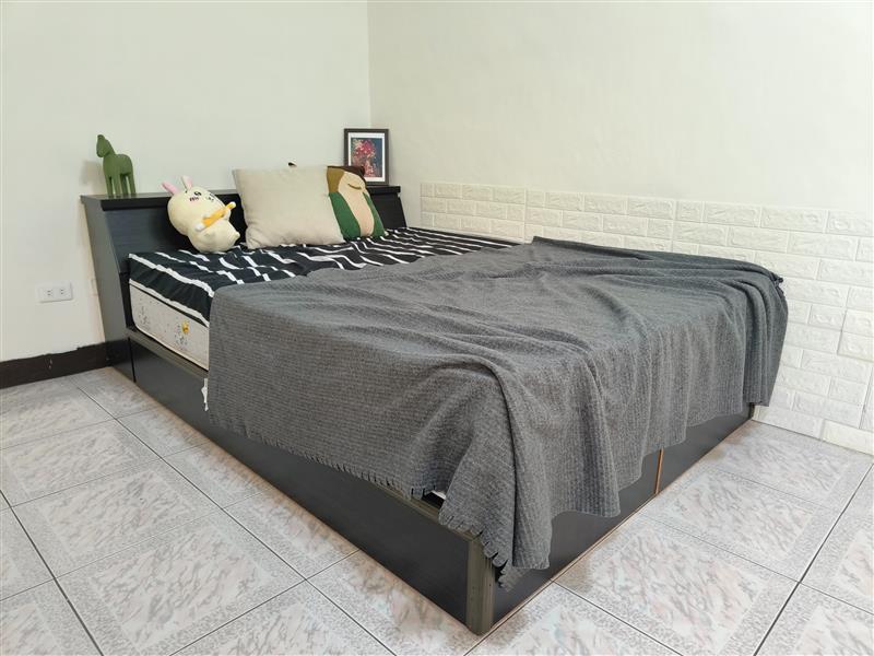 自由4-1女神限定採光貓寵近高醫📞愛窩